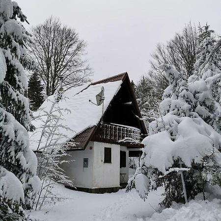 Koca Kresnica Vila Ilirska Bistrica Exterior foto