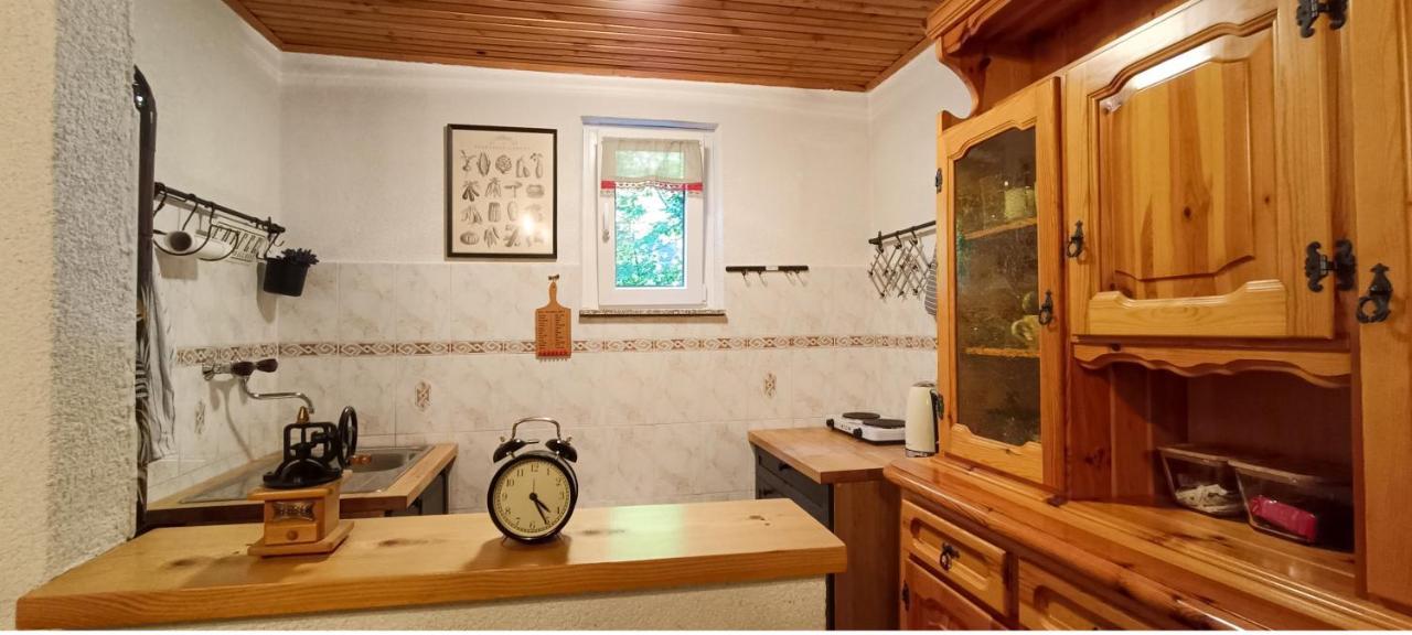 Koca Kresnica Vila Ilirska Bistrica Exterior foto