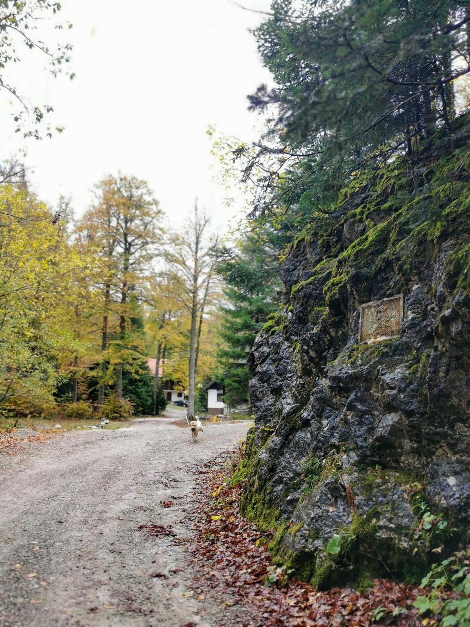 Koca Kresnica Vila Ilirska Bistrica Exterior foto