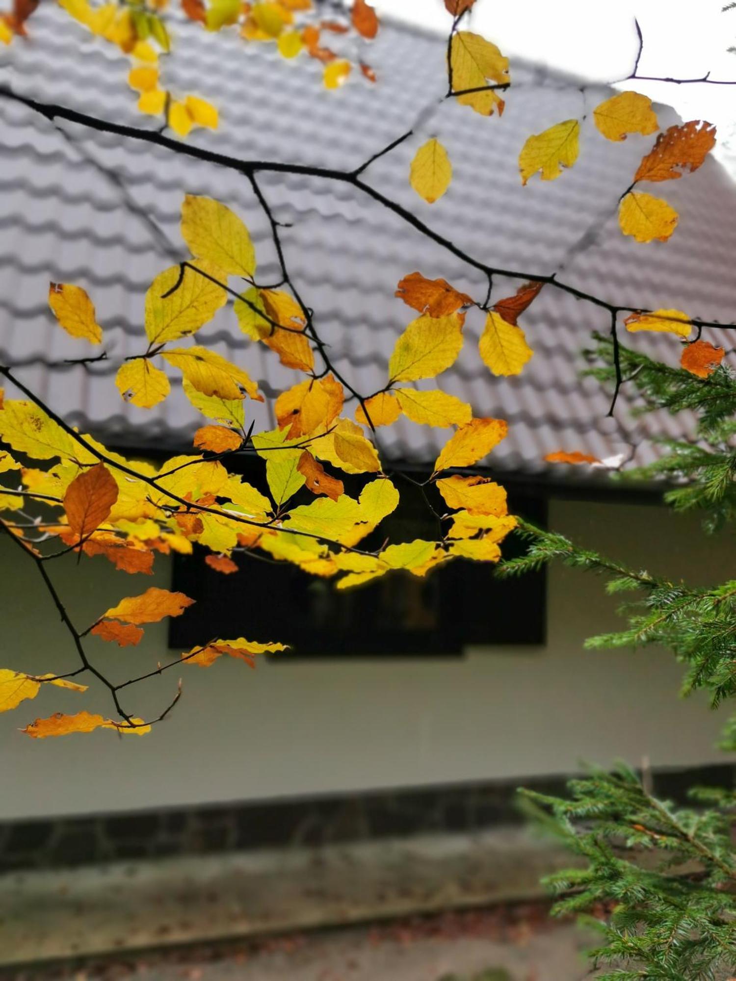 Koca Kresnica Vila Ilirska Bistrica Exterior foto